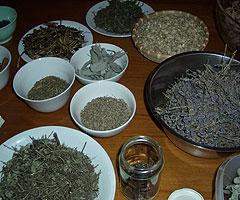 Lavendel und mehr