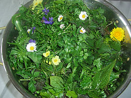 Gemischter Salat