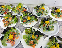 Gemischter Salat